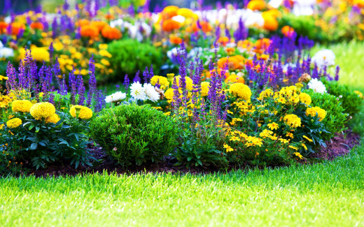 1027393 (a): :2560x1600